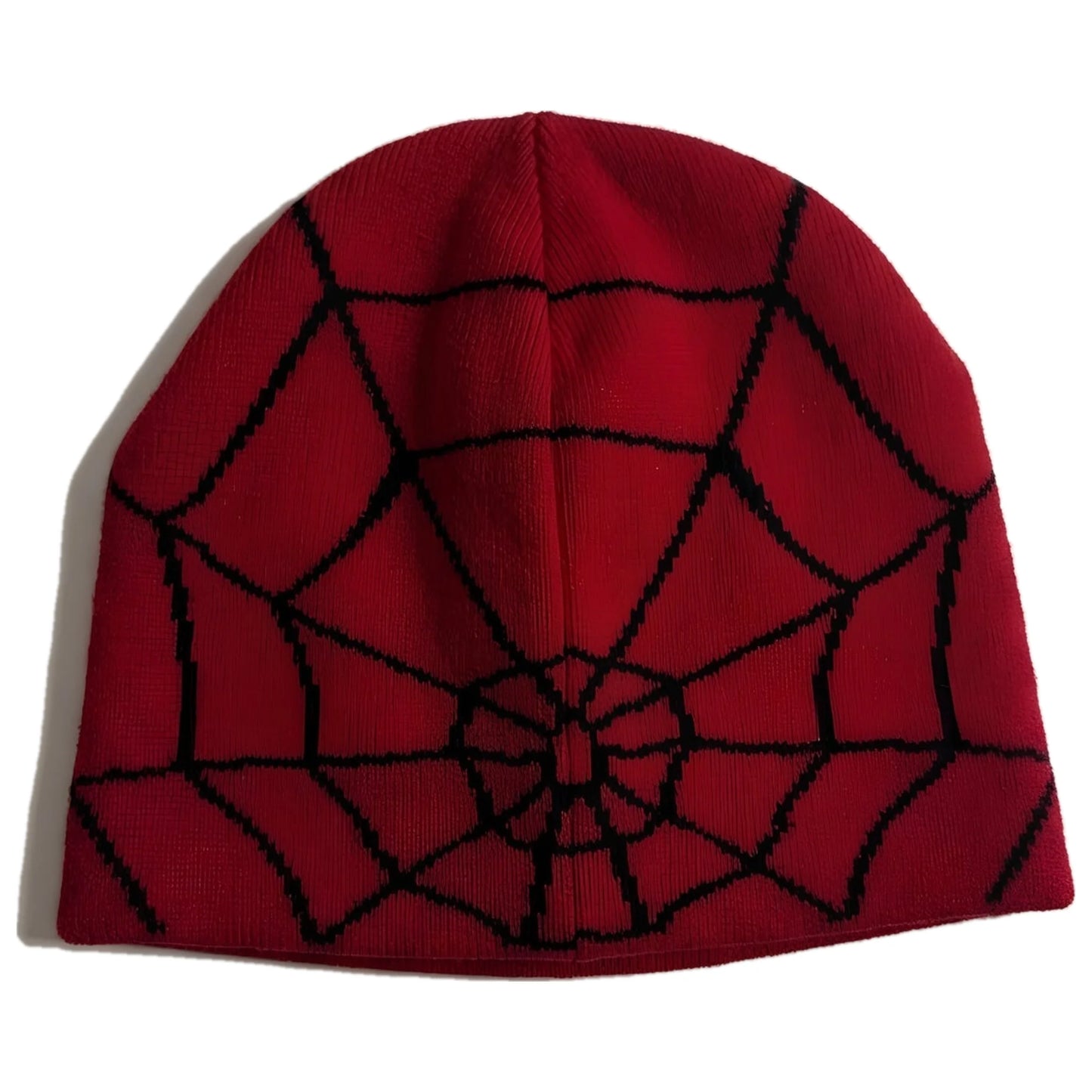 Spider Web Beanie