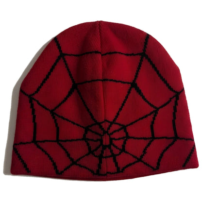 Spider Web Beanie